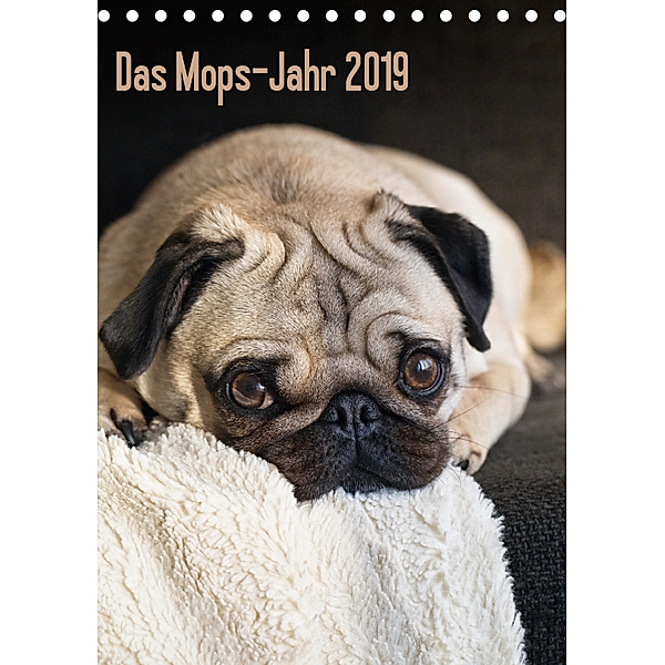 Das Mops-Jahr 2019 (Tischkalender 2019 DIN A5 hoch), Beate Zoellner