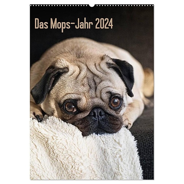 Das Mops-Jahr 2024 (Wandkalender 2024 DIN A2 hoch), CALVENDO Monatskalender, Beate Zoellner