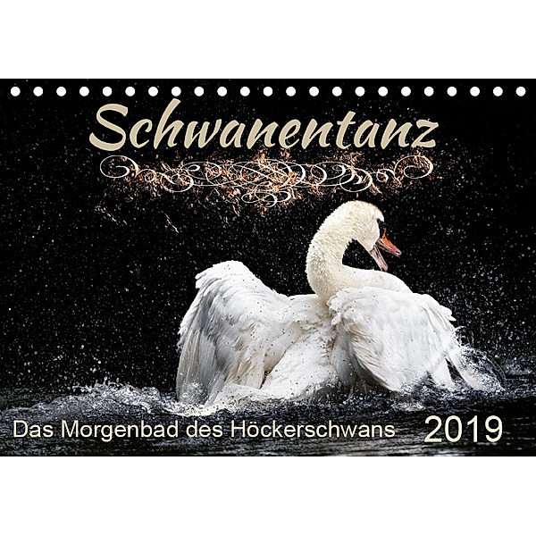 Das Morgenbad des Höckerschwans (Tischkalender 2019 DIN A5 quer), Sylvio Banker