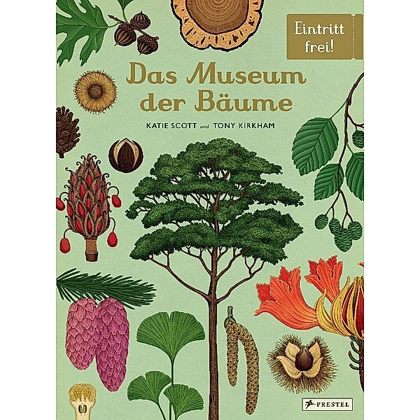 Das Museum der Bäume, Tony Kirkham, Katie Scott