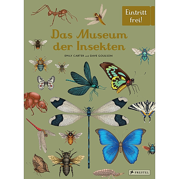 Das Museum der Insekten, Dave Goulson, Emily Carter
