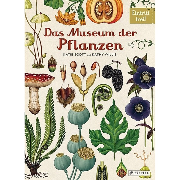 Das Museum der Pflanzen, Katie Scott, Kathy Willis