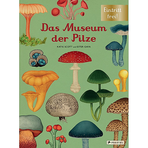 Das Museum der Pilze, Ester Gaya, Katie Scott