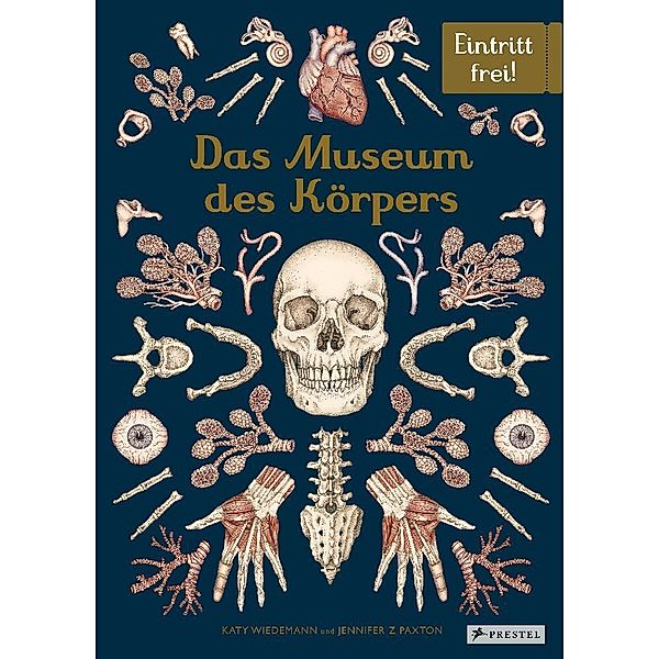 Das Museum des Körpers, Jennifer Z. Paxton