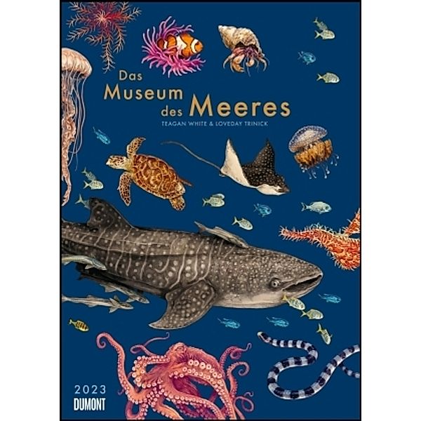 Das Museum des Meeres 2023 - Posterkalender - mit Illustrationen und vielen Erklärungen - Spiralbindung - Format 50 x 70, Loveday Trinick