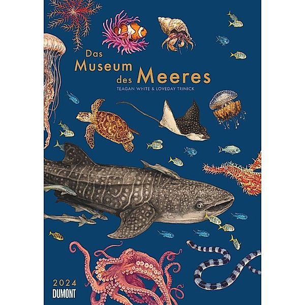 Das Museum des Meeres 2024 - Posterkalender - mit Illustrationen und vielen Erklärungen - Spiralbindung - Format 50 x 70 cm