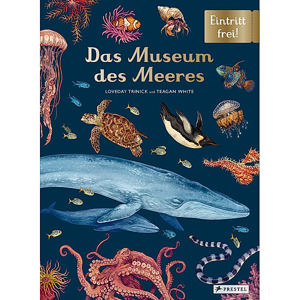 Das Museum des Meeres, Loveday Trinick, Teagan White