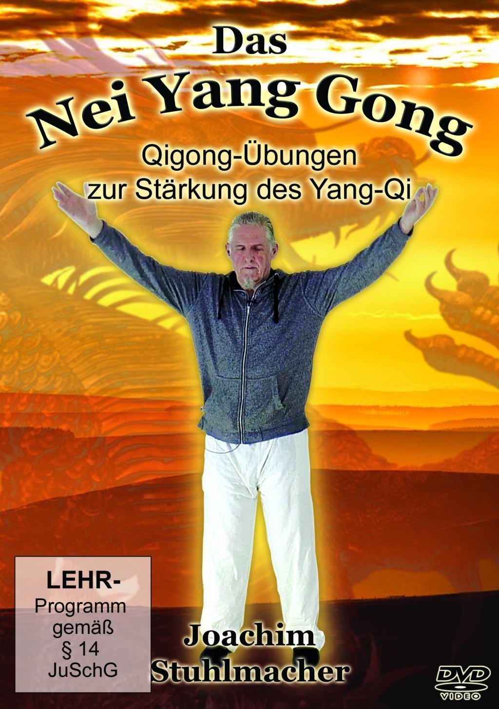 Image of Das Nei Yang Gong, 1 DVD