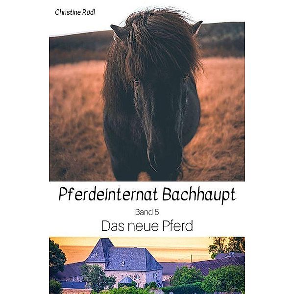 Das neue Pferd, Christine Rödl