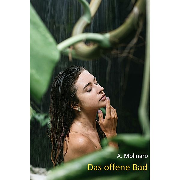 Das offene Bad, A. Molinaro