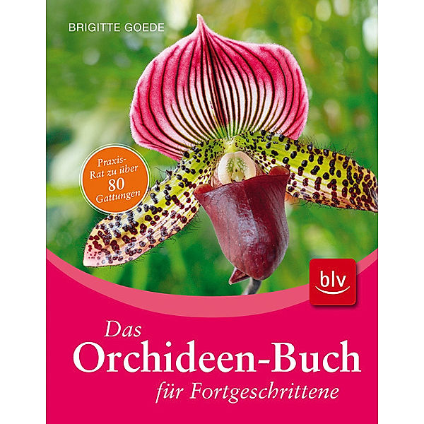 Das Orchideen-Buch für Fortgeschrittene, Brigitte Goede