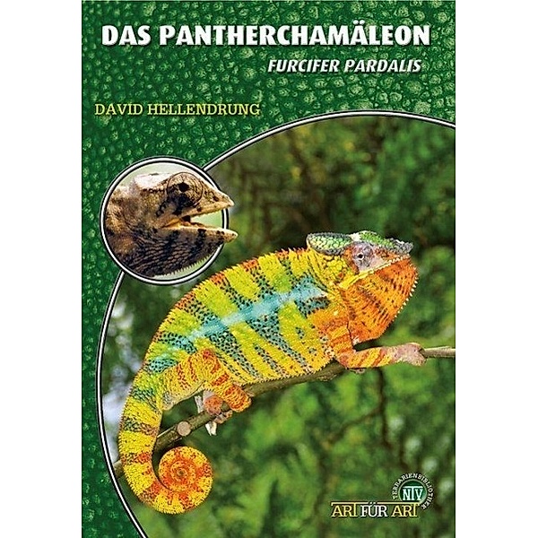 Das Pantherchamäleon, David Hellendrung