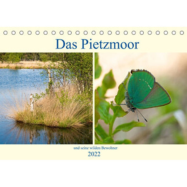 Das Pietzmoor und seine wilden Bewohner (Tischkalender 2022 DIN A5 quer), Carola Vahldiek