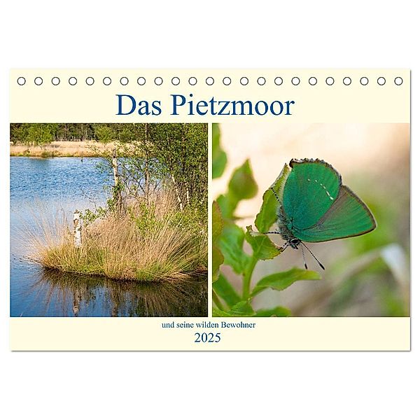 Das Pietzmoor und seine wilden Bewohner (Tischkalender 2025 DIN A5 quer), CALVENDO Monatskalender, Calvendo, Carola Vahldiek