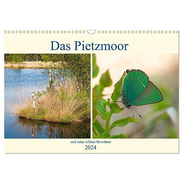 Das Pietzmoor und seine wilden Bewohner (Wandkalender 2024 DIN A3 quer), CALVENDO Monatskalender, Carola Vahldiek