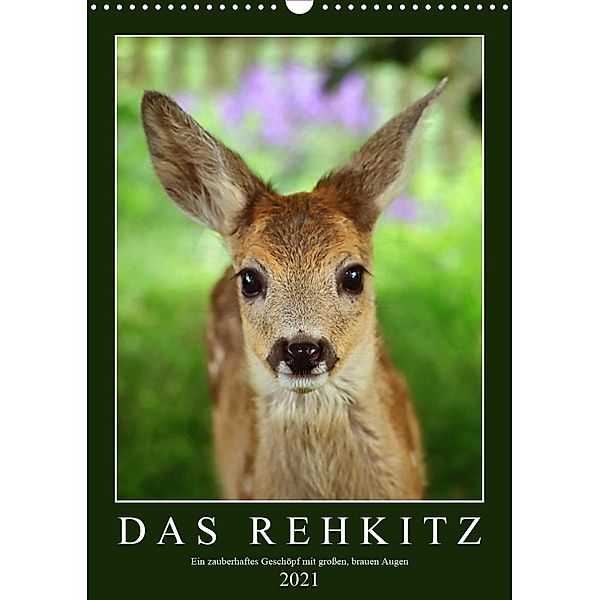 Das Rehkitz, ein zauberhaftes Geschöpf mit großen, brauen Augen (Wandkalender 2021 DIN A3 hoch), Sabine Löwer