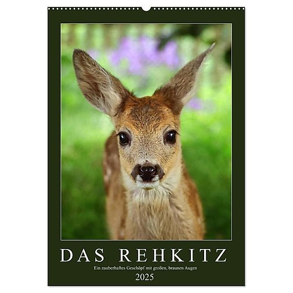 Das Rehkitz, ein zauberhaftes Geschöpf mit großen, braunen Augen (Wandkalender 2025 DIN A2 hoch), CALVENDO Monatskalender, Calvendo, Sabine Löwer