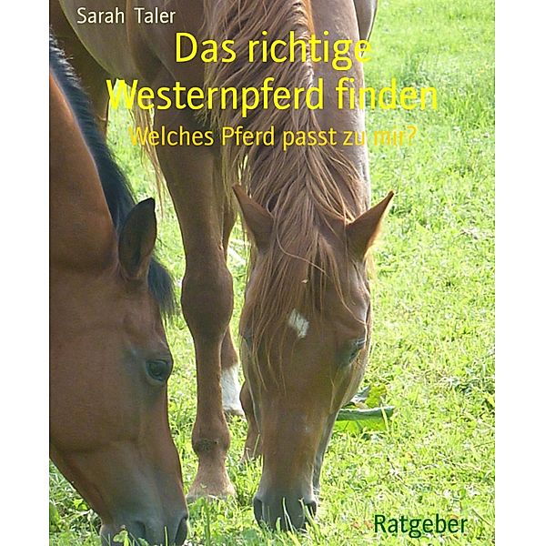 Das richtige Westernpferd finden, Sarah Taler