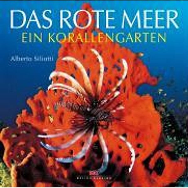 Das Rote Meer, Alberto Siliotti