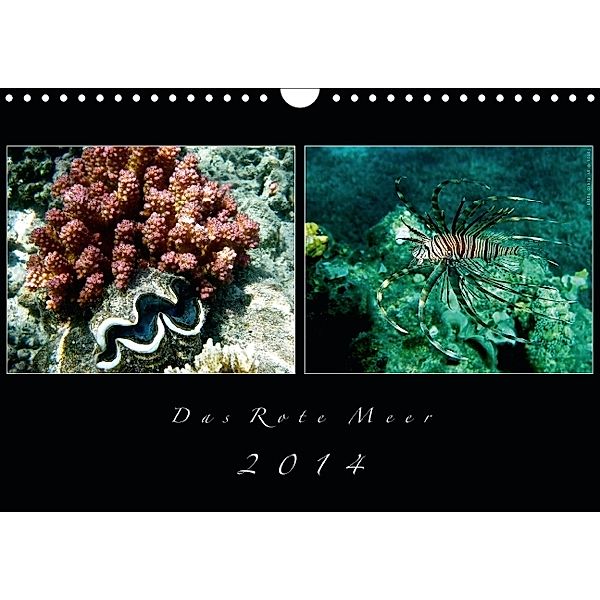 Das Rote Meer   2014 (Wandkalender 2014 DIN A4 quer), Mirko Weigt, Hamburg