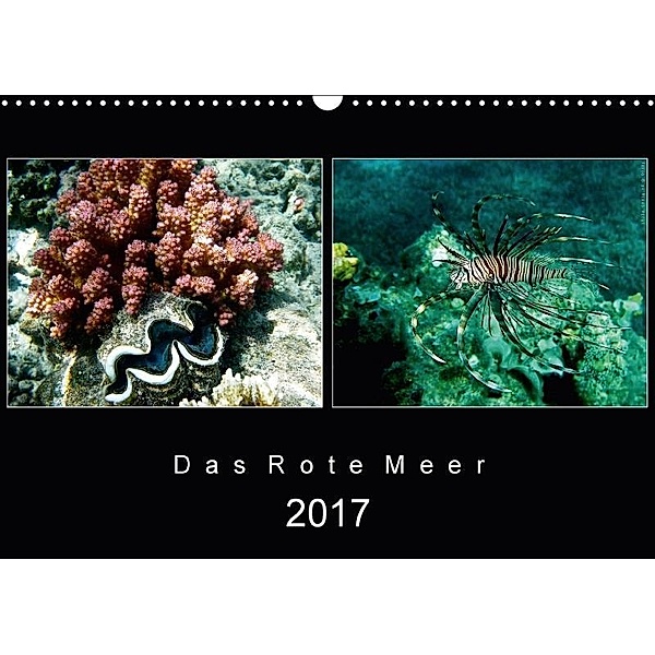Das Rote Meer - 2017 (Wandkalender 2017 DIN A3 quer), © Mirko Weigt