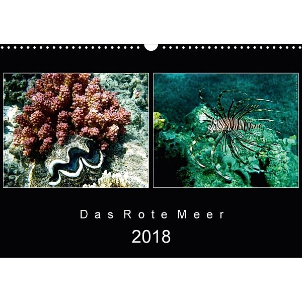 Das Rote Meer - 2018 (Wandkalender 2018 DIN A3 quer), © Mirko Weigt