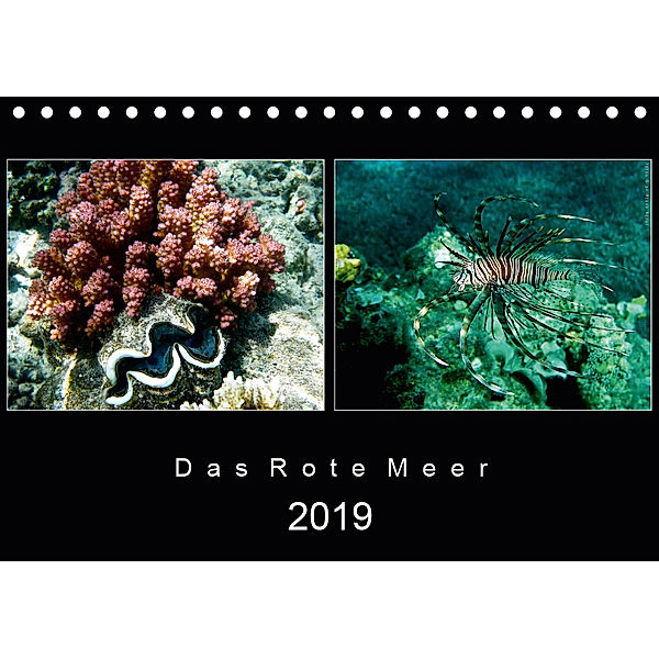 Das Rote Meer - 2019 (Tischkalender 2019 DIN A5 quer), © Mirko Weigt