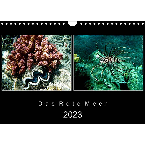 Das Rote Meer - 2023 (Wandkalender 2023 DIN A4 quer), © Mirko Weigt, Hamburg