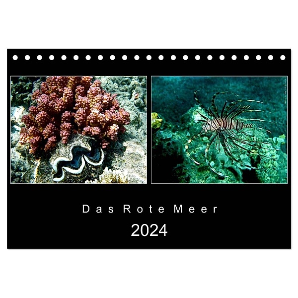 Das Rote Meer - 2024 (Tischkalender 2024 DIN A5 quer), CALVENDO Monatskalender, Hamburg, © Mirko Weigt