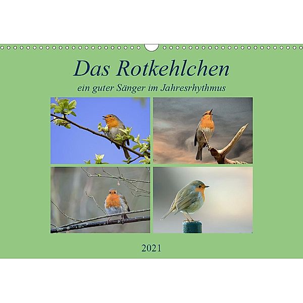 Das Rotkehlchen, ein guter Sänger im Jahresrhythmus. (Wandkalender 2021 DIN A3 quer), Rufotos