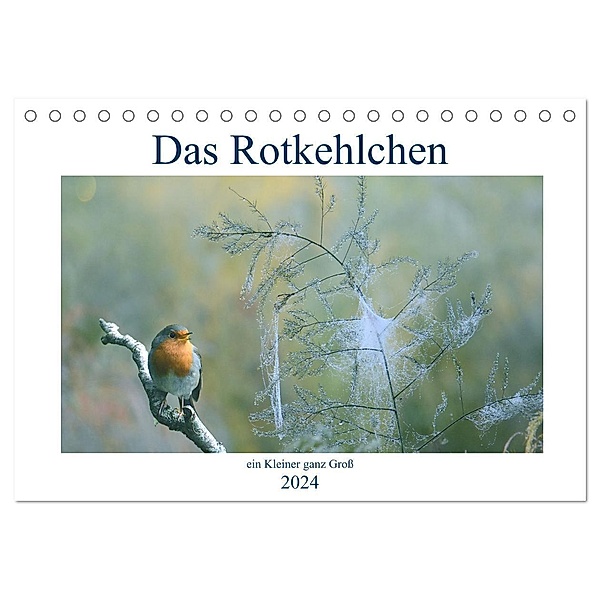 Das Rotkehlchen, ein Kleiner ganz Gross (Tischkalender 2024 DIN A5 quer), CALVENDO Monatskalender, Rufotos