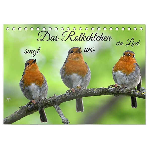 Das Rotkehlchen singt uns ein Lied (Tischkalender 2024 DIN A5 quer), CALVENDO Monatskalender, Rufotos