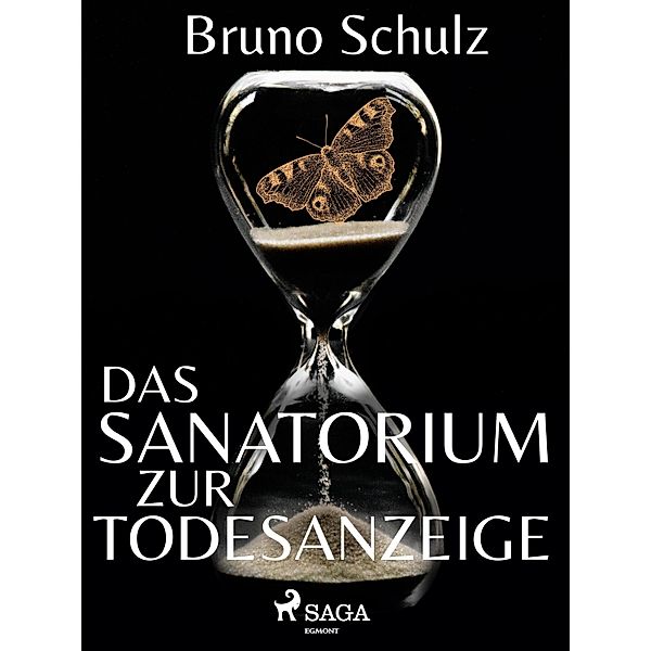 Das Sanatorium zur Todesanzeige, Bruno Schulz