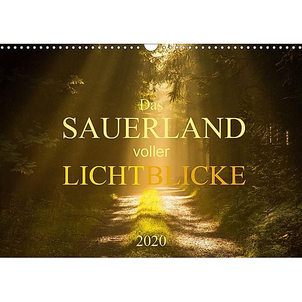 Das Sauerland voller Lichtblicke (Wandkalender 2020 DIN A3 quer), Heidi Bücker
