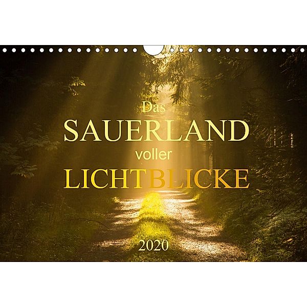 Das Sauerland voller Lichtblicke (Wandkalender 2020 DIN A4 quer), Heidi Bücker