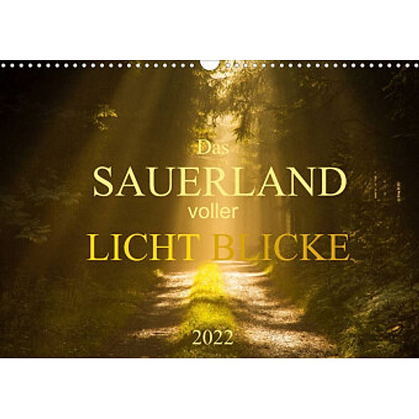 Das Sauerland voller Lichtblicke (Wandkalender 2022 DIN A3 quer), Heidi Bücker