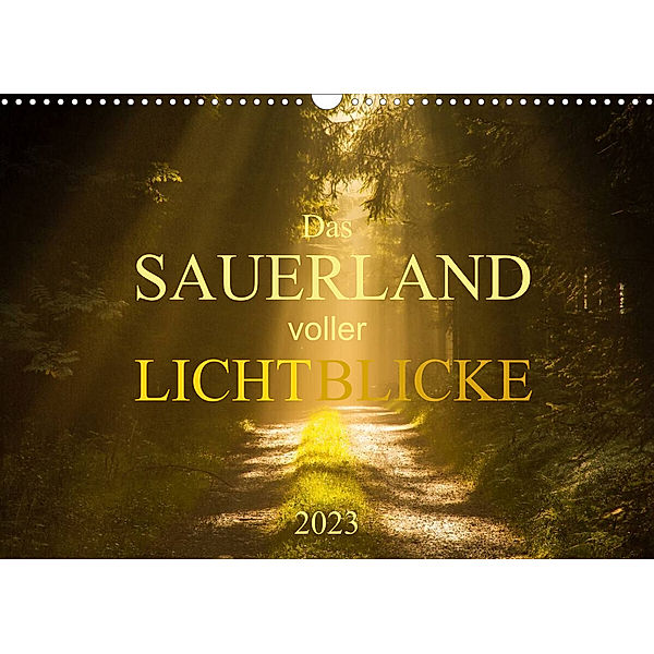 Das Sauerland voller Lichtblicke (Wandkalender 2023 DIN A3 quer), Heidi Bücker