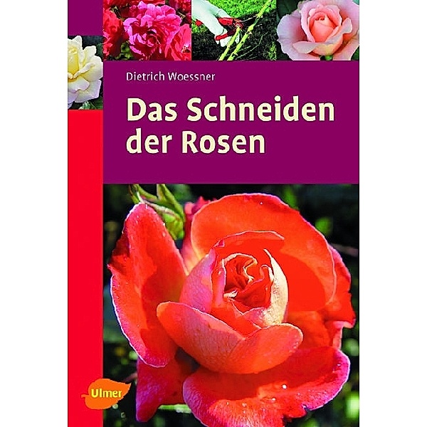 Das Schneiden der Rosen, Dietrich Woessner