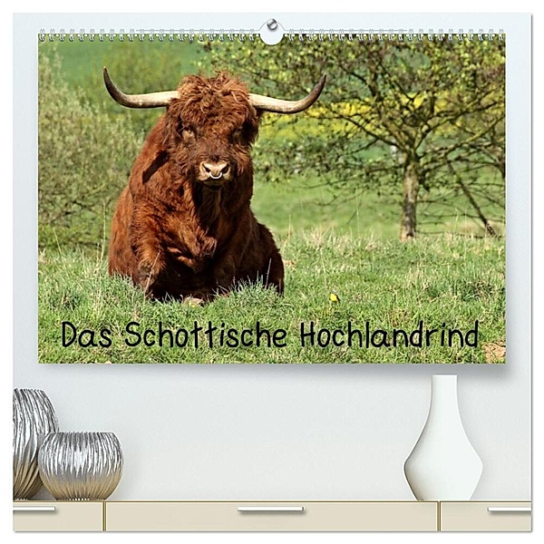 Das Schottische Hochlandrind (hochwertiger Premium Wandkalender 2024 DIN A2 quer), Kunstdruck in Hochglanz, Christine Schmutzler-Schaub