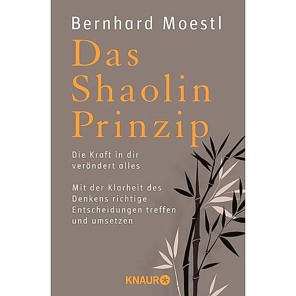 Das Shaolin-Prinzip, Bernhard Moestl