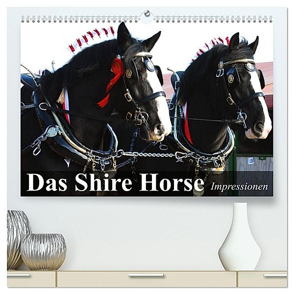 Das Shire Horse. Impressionen (hochwertiger Premium Wandkalender 2024 DIN A2 quer), Kunstdruck in Hochglanz, Elisabeth Stanzer