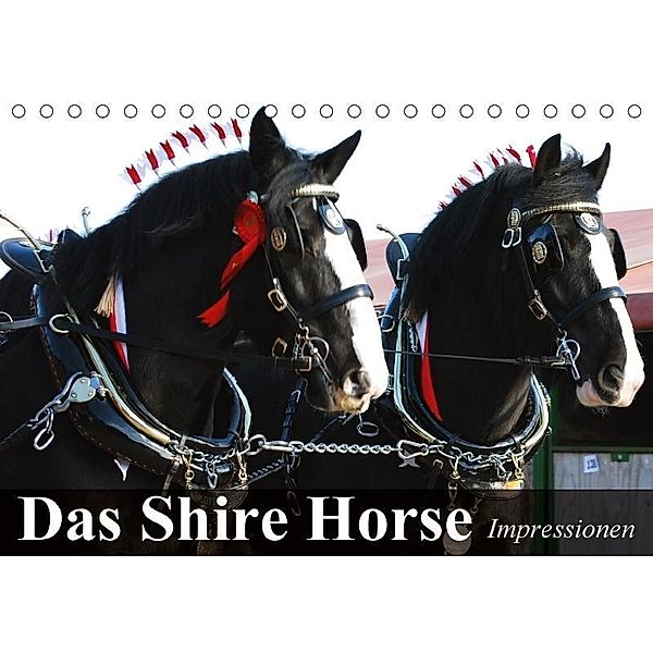 Das Shire Horse. Impressionen (Tischkalender 2017 DIN A5 quer), Elisabeth Stanzer