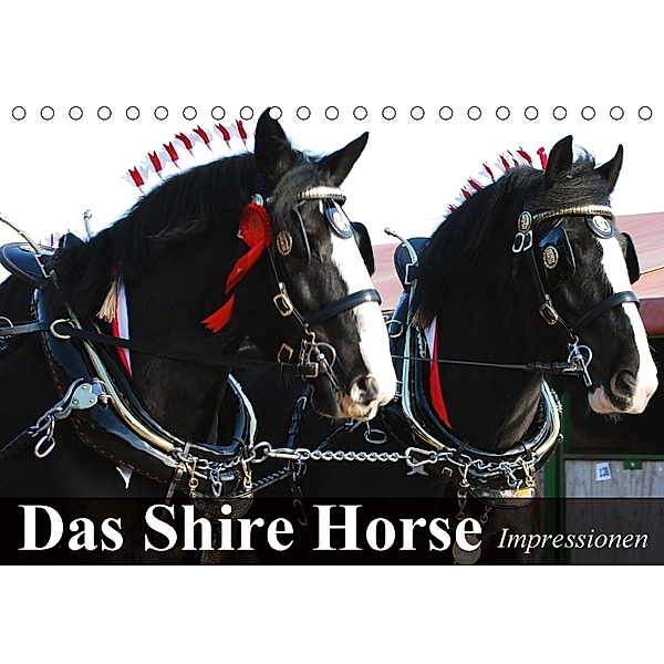 Das Shire Horse. Impressionen (Tischkalender 2018 DIN A5 quer), Elisabeth Stanzer