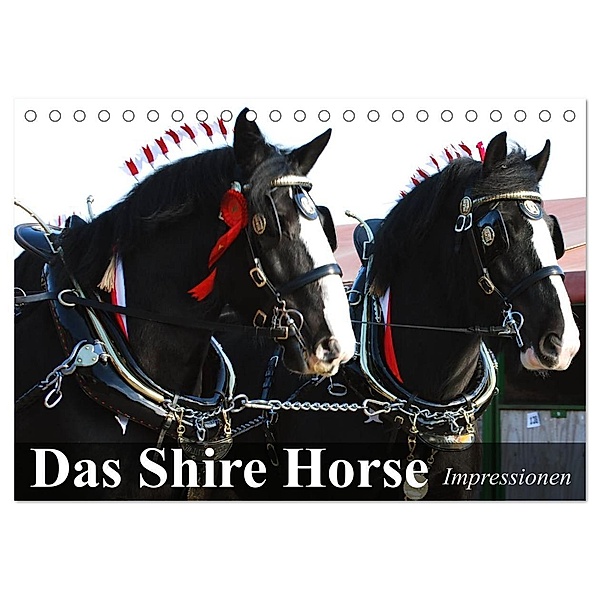 Das Shire Horse. Impressionen (Tischkalender 2024 DIN A5 quer), CALVENDO Monatskalender, Elisabeth Stanzer