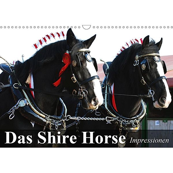 Das Shire Horse. Impressionen (Wandkalender 2020 DIN A3 quer), Elisabeth Stanzer