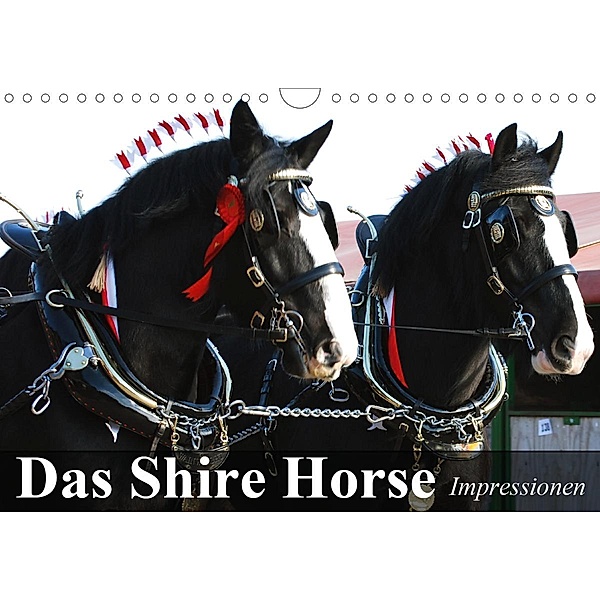 Das Shire Horse. Impressionen (Wandkalender 2020 DIN A4 quer), Elisabeth Stanzer