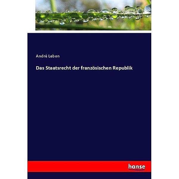 Das Staatsrecht der französischen Republik, André Lebon