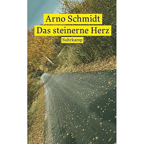 Das steinerne Herz, Arno Schmidt