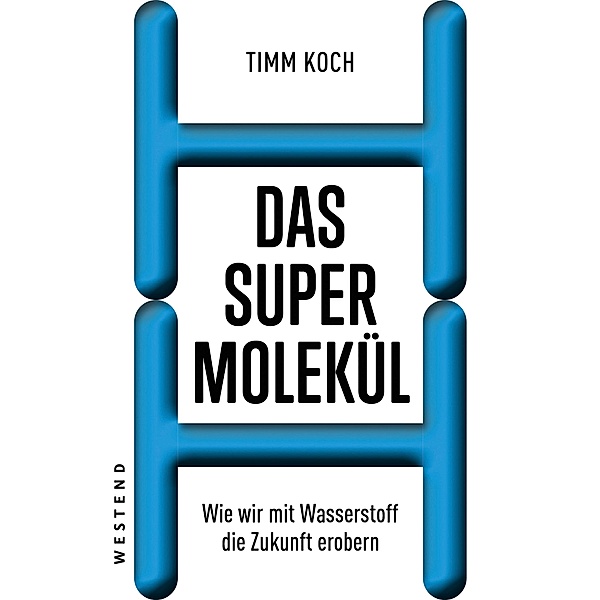 Das Supermolekül, Timm Koch