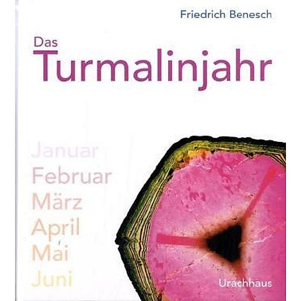 Das Turmalinjahr, Friedrich Benesch